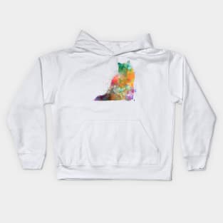 Turkish Angora cat in watercolor Kids Hoodie